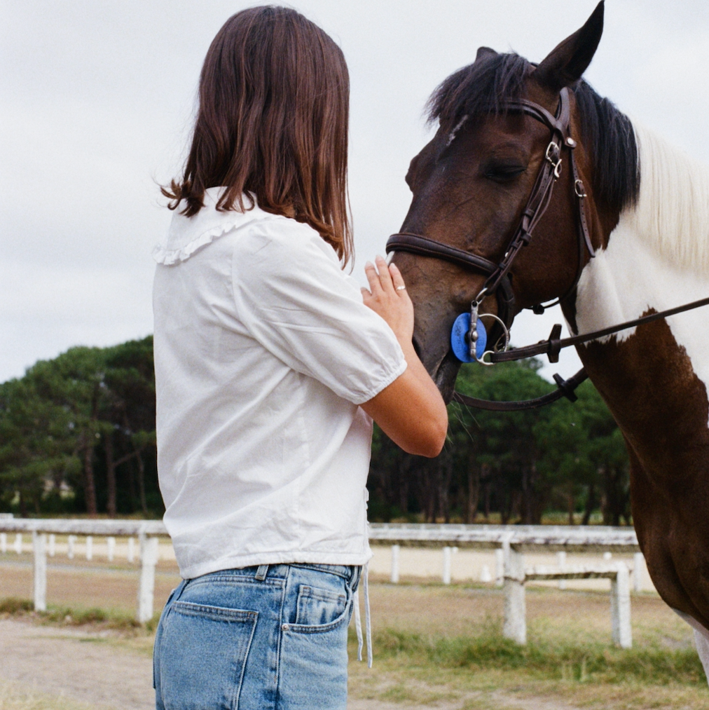 Person petting a horse in an outdoor setting